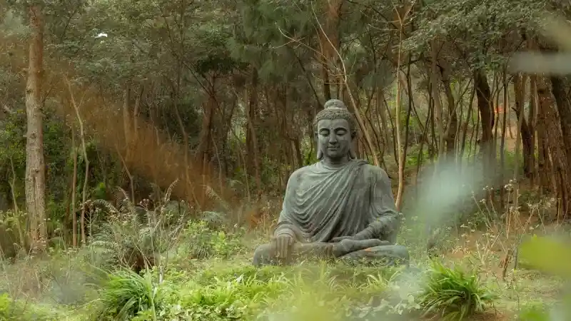 Meditación de la sonrisa interna