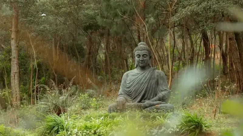 Meditación de la sonrisa interna