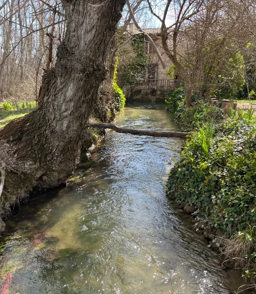 Retiro de Yoga y Meditación en España con Tina de la Rúa