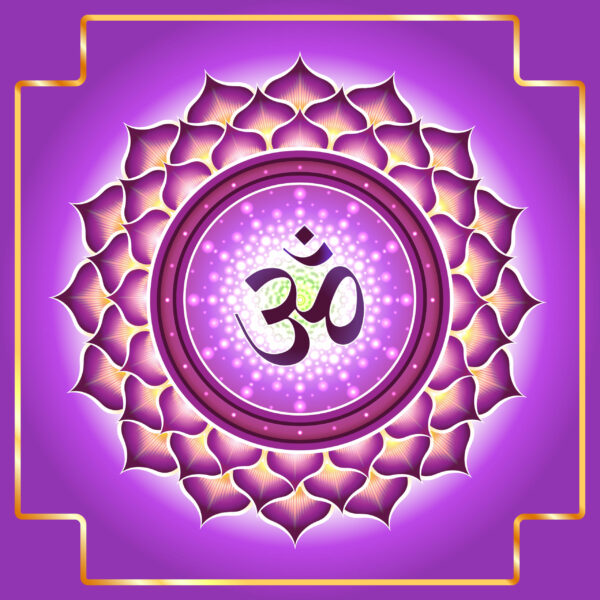 Imagen para Módulo 7: Ajna Chakra y Sahasrara Chakra - Tercer Umbral de Iniciación