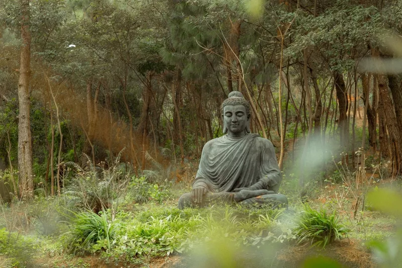 Imagen para Meditación de la sonrisa interna
